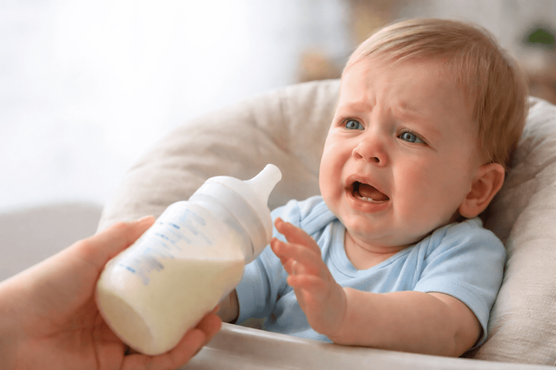 Formula Fed Baby Suddenly Refusing Bottle - Organic Formula Europe